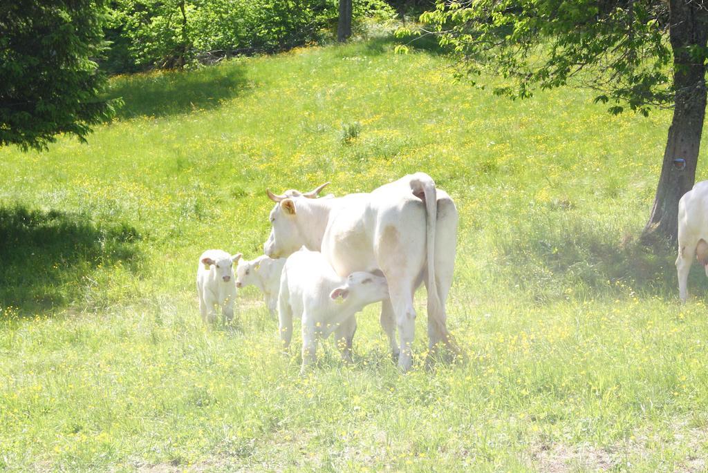 Farm stay Grundnerhof