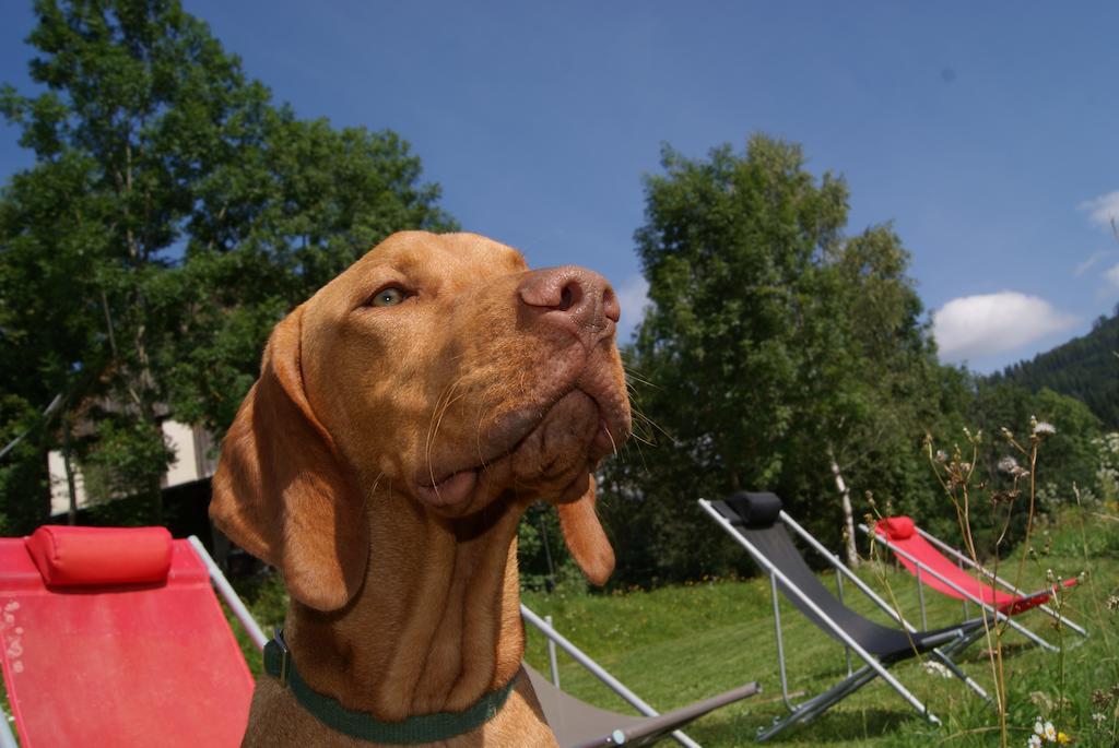 Farm stay Grundnerhof Arriach