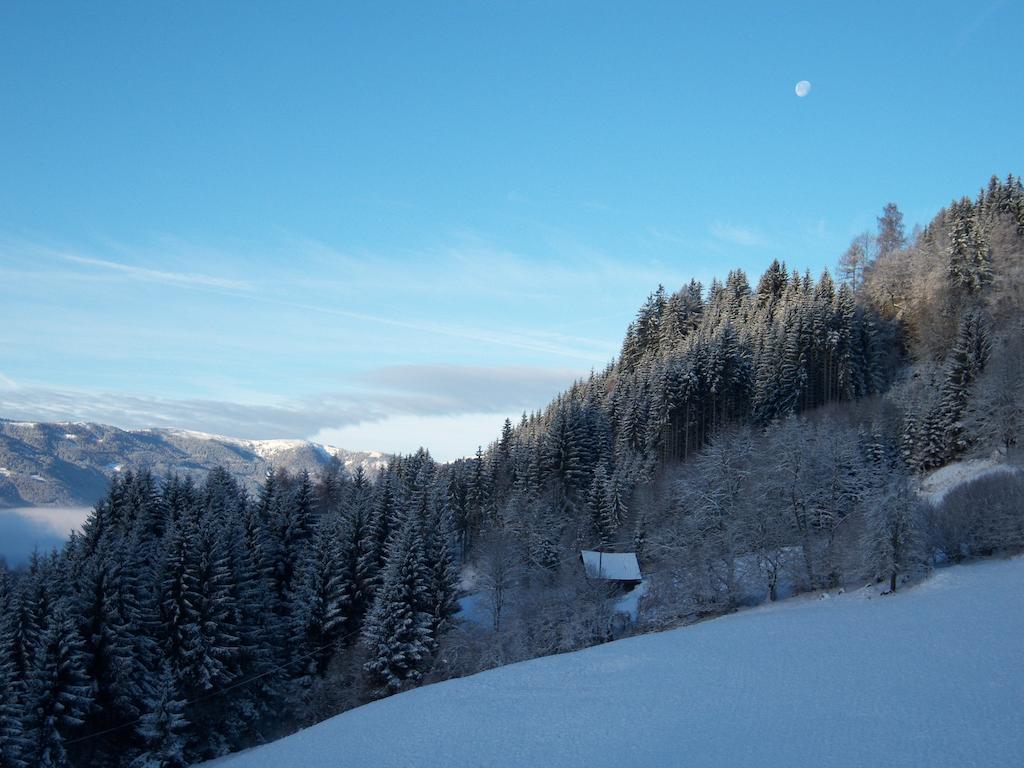 Grundnerhof Arriach