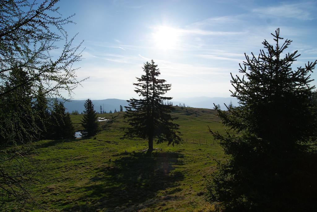 Farm stay Grundnerhof *