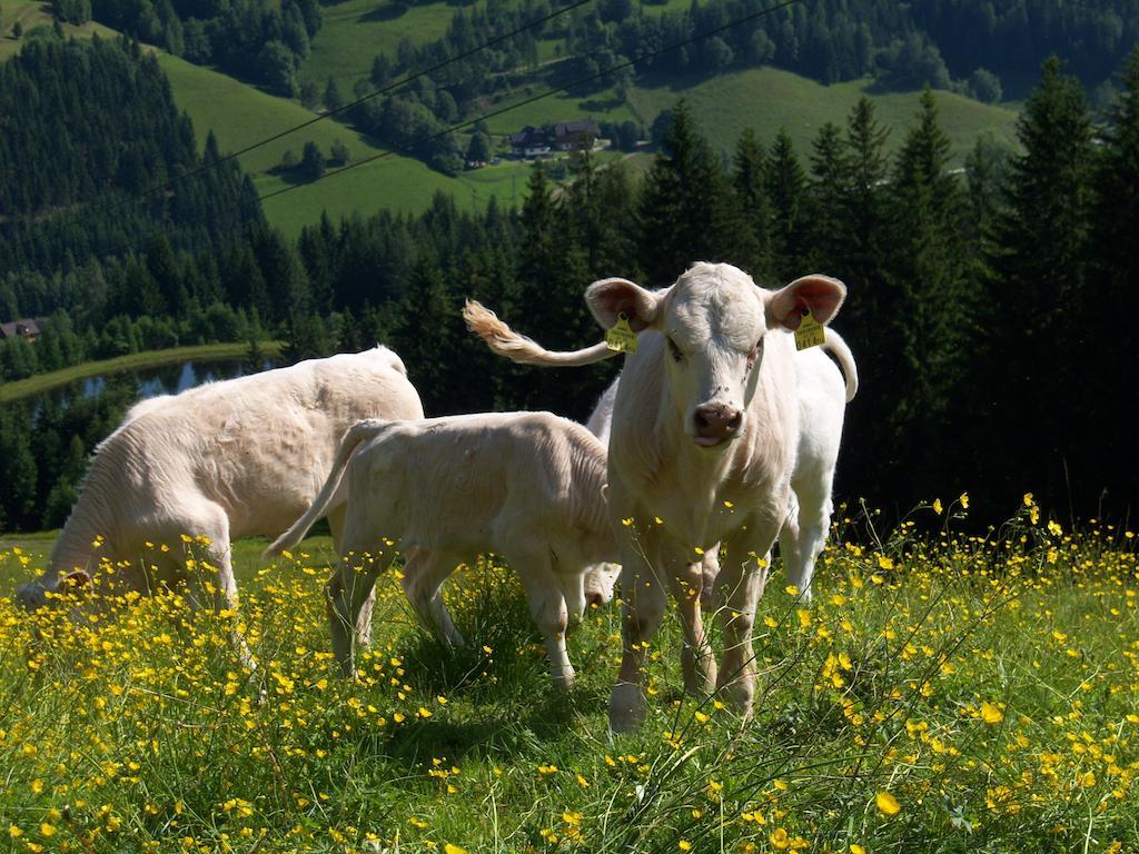 Farm stay Grundnerhof Arriach